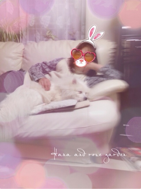 {856F5301-1DB7-4D49-85A8-6921F57EB6E7:01}