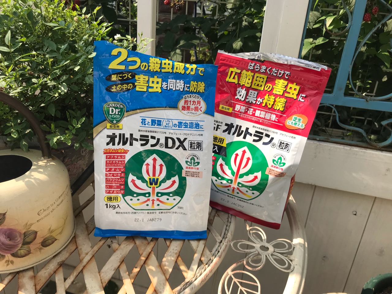 月一のオルトラン カナブンが飛び回る季節 のばらのガーデニングブログ Hana And Rose Garden Powered By ライブドアブログ 月一のオルトラン カナブンが飛び回る季節 のばらのガーデニングブログ Hana And Rose Garden Powered By ライブドアブログ