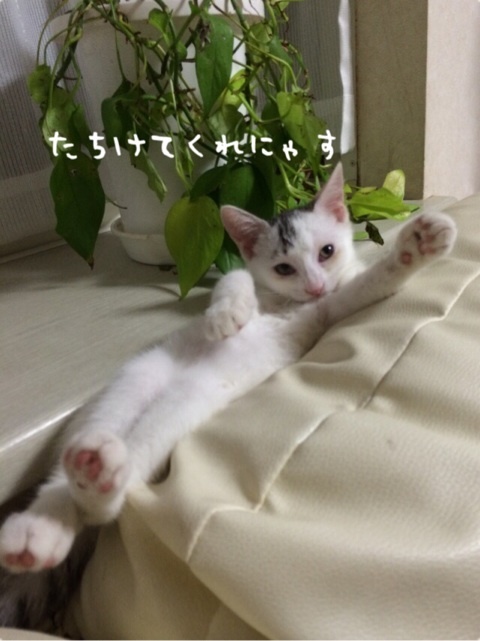{9AC1D728-28BD-42D3-B144-015A68567949:01}