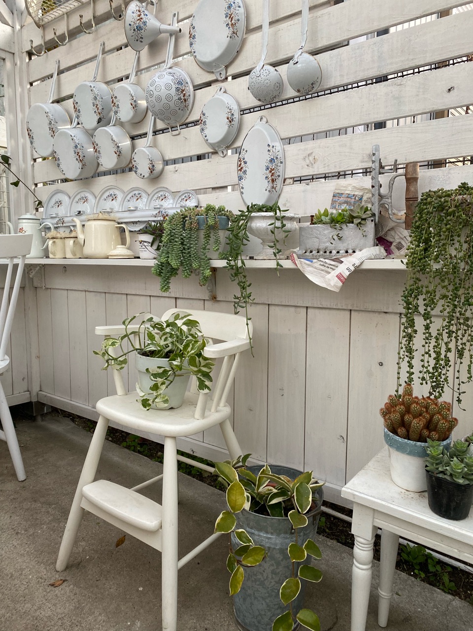 観葉植物の冬支度とガーデンハウスからの景色 女子部 のばらのガーデニングブログ Hana And Rose Garden Powered By ライブドアブログ