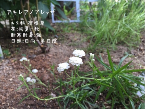 {CCB9BCAF-6473-47FD-9F57-CBE853B8B16A:01}