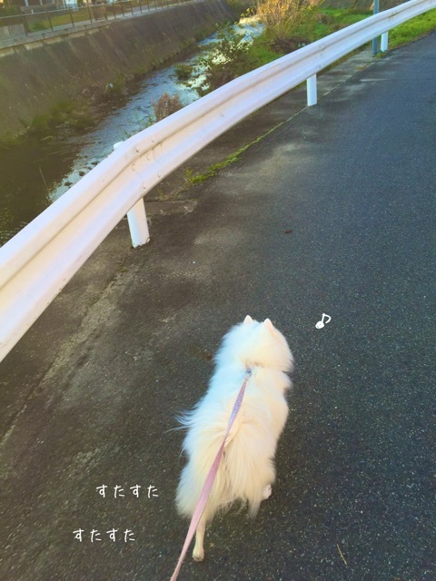 {1ECEE422-9D4F-4894-923D-8606E1CB4206:01}
