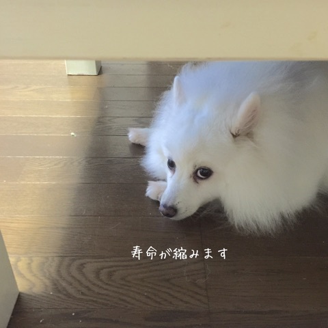{9E434EC2-42B8-4A46-B970-3DCC28A38131}