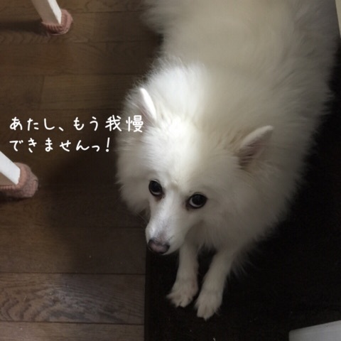 {516B8BB9-C879-4B77-BA38-F4D645E4289C:01}