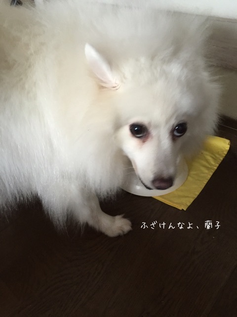 {D4386AED-ED61-4158-98E7-E28D0118623C}