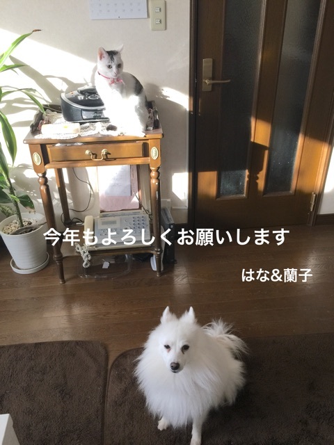 {7977BA2B-6D91-4245-8BDD-73488BDF4B2C:01}