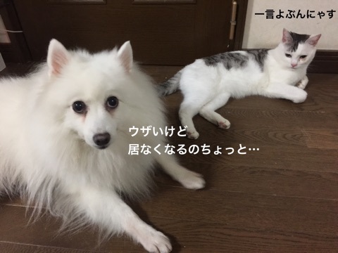 {2AC8162F-CA28-4FA6-A043-A386B77BBB48}
