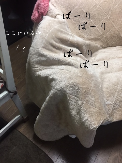 {3F4055A9-966A-421D-AF56-A0DCDA04C32C}