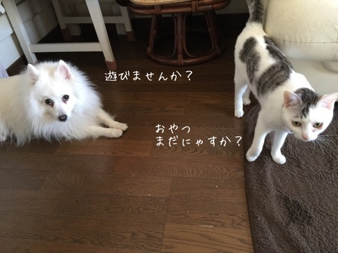 {A5C5A28D-0F11-4942-BFCC-026CA7ABB7E5:01}