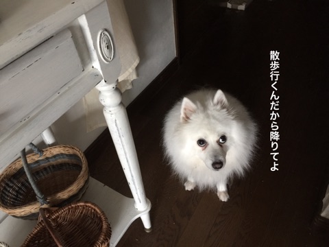 {C39AE5B6-50C5-4F97-ADF7-FB61E4437460}