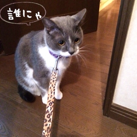 {34D07DAB-7B61-4C8A-8EB7-601B96CDE712:01}