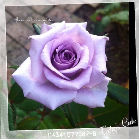 {B6C8680B-D0AD-4EC0-A980-D5219800CA72:01}