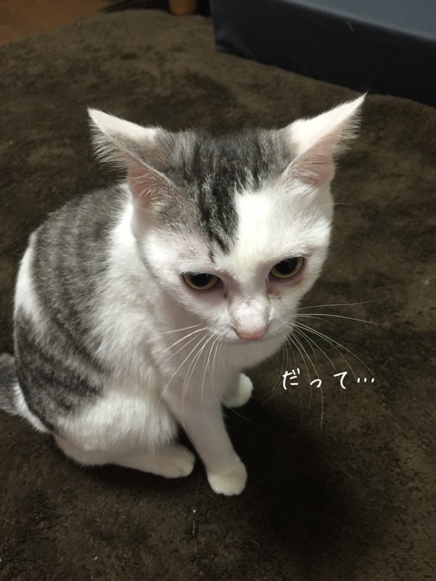 {D4763630-ECF9-4DD9-B0AE-B014D89779B5:01}