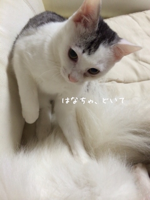 {4D66FECF-B1E5-45C6-86F1-283A4CD360A6:01}