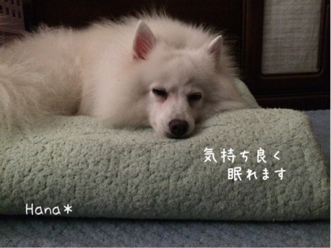 {8A5A6724-3D9E-4AD3-92F7-23DE0A6CB4B1:01}