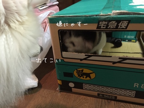{B7153A10-5C96-4A38-9FEE-819F30846886:01}