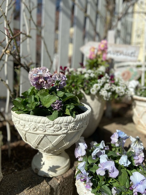 フルサイズレンダリング