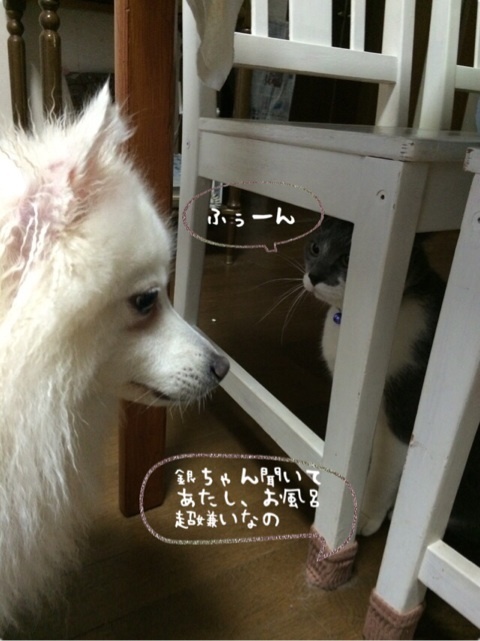 {E172A167-40DC-44ED-982C-D48D662EBC6D:01}
