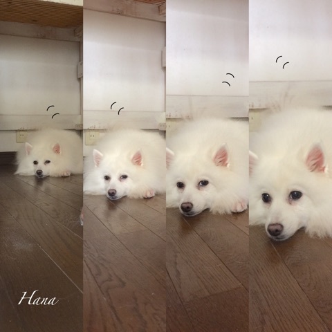 {DA536540-BBF9-46A9-A364-7662CAFF80DC}