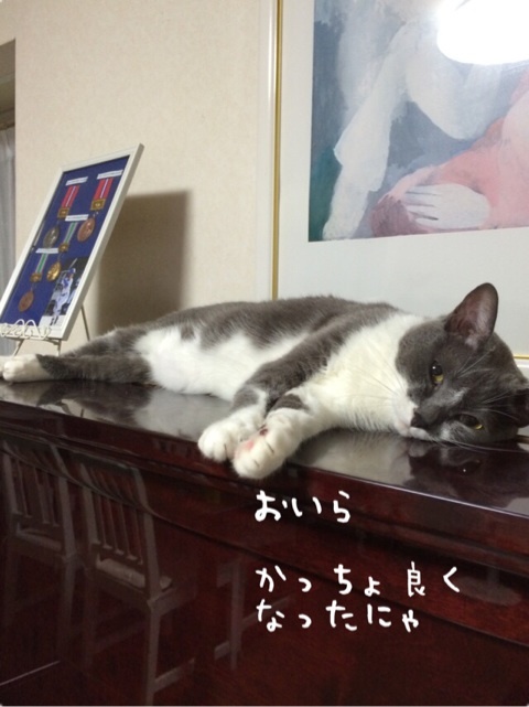 {CC58983F-5045-4CA7-B66B-67BCF15C4151:01}