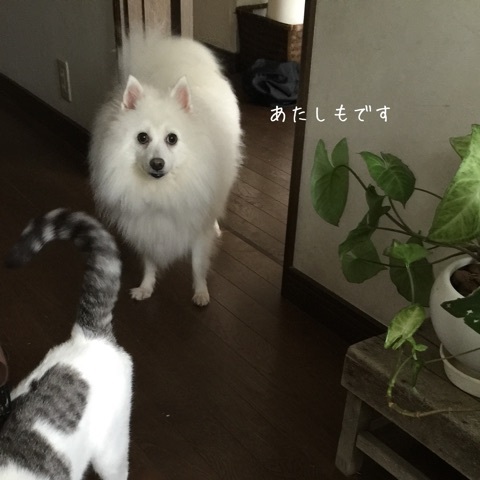 {CF121423-50A8-4341-84AA-4A50DB47C147}