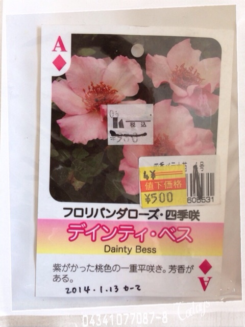 {DD77D68E-0793-4DA7-8D24-3B309C3E8682:01}