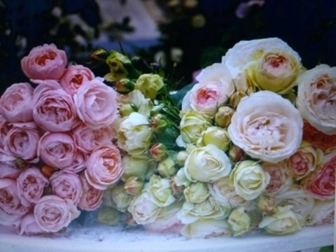 {BB1D4145-ADE8-4AAA-88B6-8576EAB880C4:01}