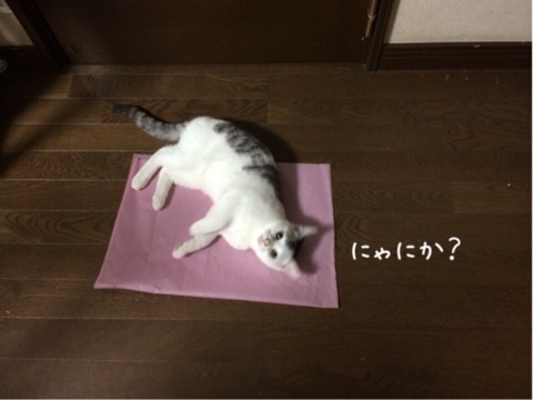 {C0AE53B5-B95B-49A1-B5CB-D84394CA98F6:01}