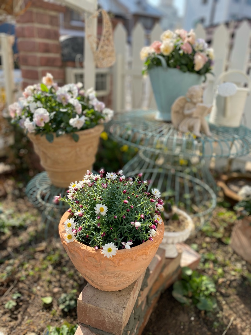 平坦な花壇にレンガの花台を作って立体感を出しました のばらのガーデニングブログ Hana And Rose Garden Powered By ライブドアブログ