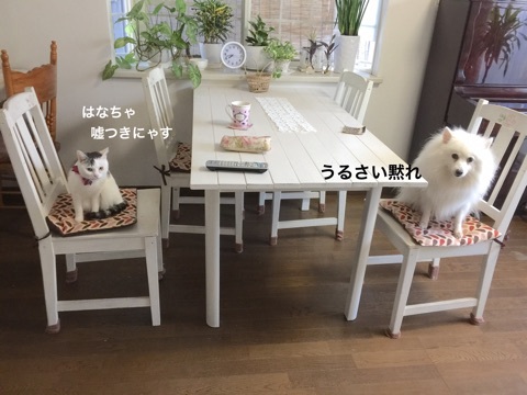 {D6A4C015-F28F-4D12-A372-96D88A6D9296}