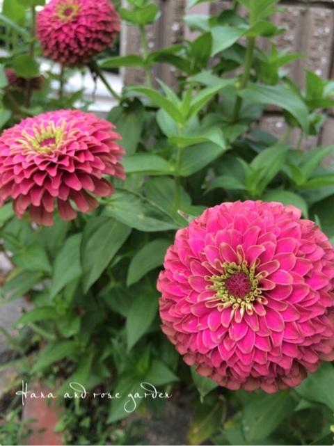 {388DA2AA-201D-45F5-AE2C-A56A8BB69131:01}