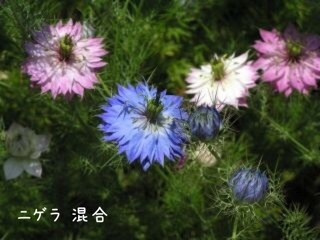 {A59BBA35-C442-44E3-B295-08D9FAF6C09B:01}