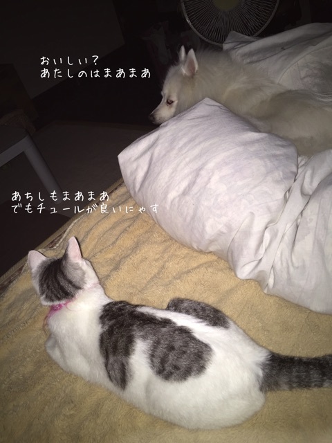 {2BD63A3E-5CEE-4432-AC45-1501FBA1C6D6}