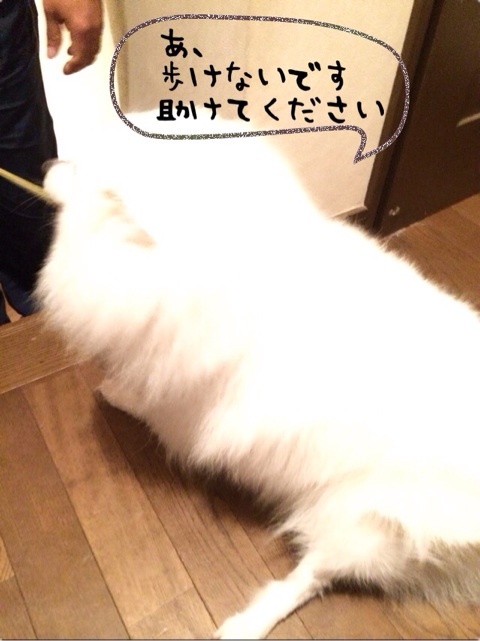 {B29EB144-3E25-49F9-8692-C1B986EF9116:01}