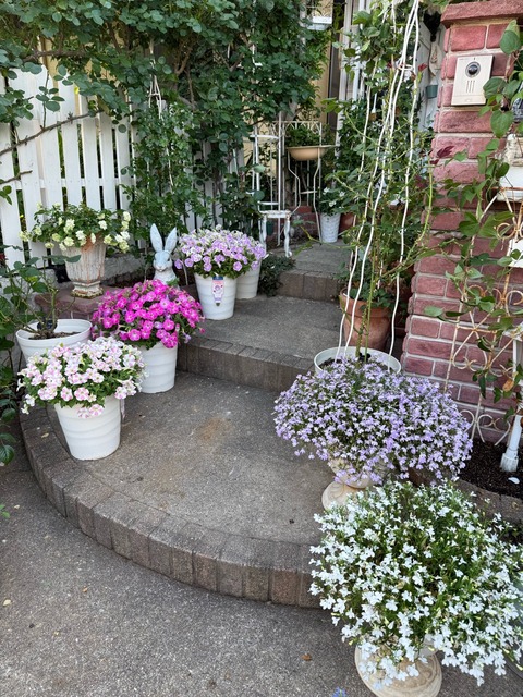 さとみ コレカ まとめ売り バラ売り可 さとみくん まとめ売り バラ売り可 - メルカリ