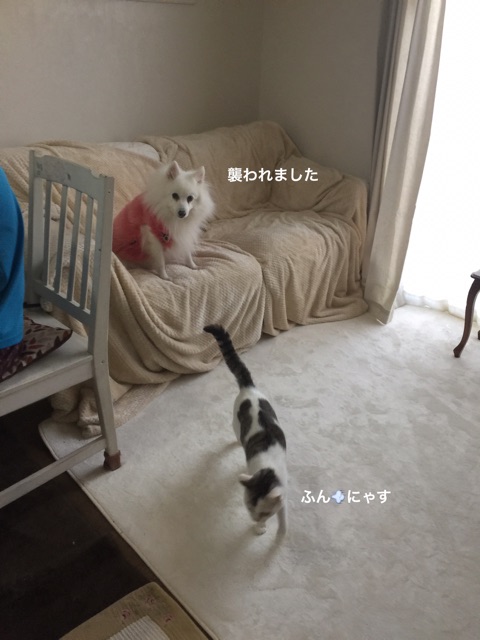 {6127D83F-9973-4B05-ACD3-E9B25D2C0DE7}