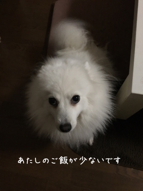 {F262387C-FE45-45CC-9945-159952B8EB46:01}
