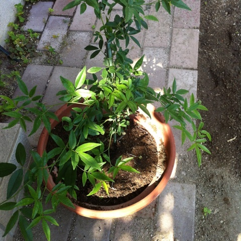 photo:03