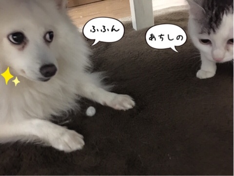 {503F6405-7F63-4F64-B37F-2BDD5762626A:01}