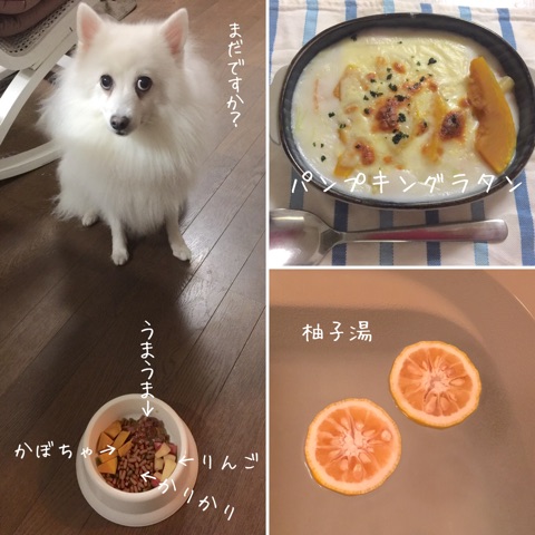{E0EBF6FF-B1F8-49F3-B77A-B845AE2579C7}