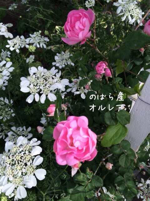 {BE50F5DE-EE5E-4FD0-BE33-1FDEBB7C80AB:01}