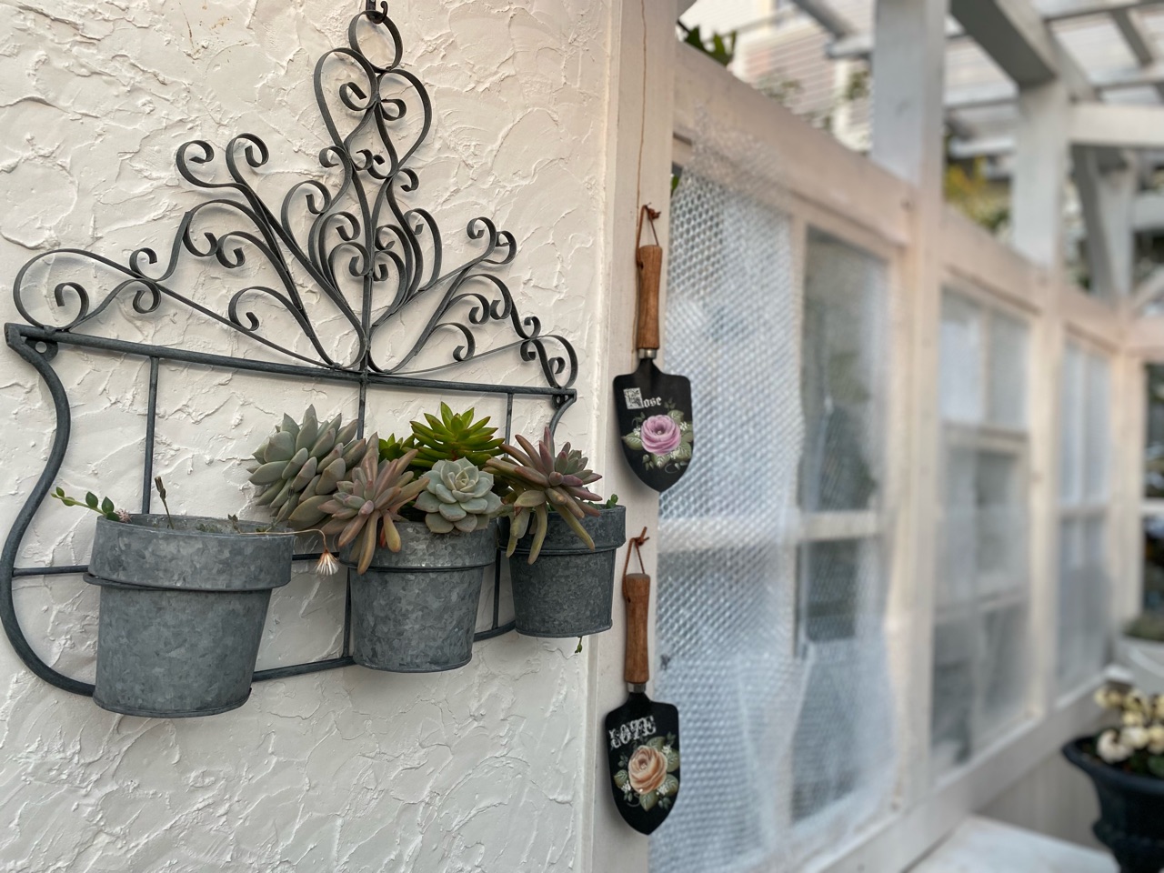 観葉植物の冬支度とガーデンハウスからの景色 女子部 のばらのガーデニングブログ Hana And Rose Garden Powered By ライブドアブログ