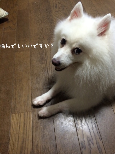 {48382661-33FC-47AA-B109-8A5D0B39483C:01}