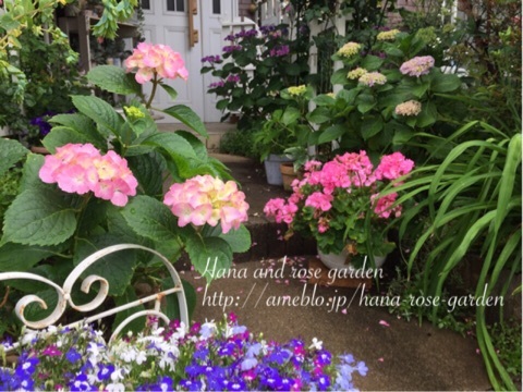 {171DB9C2-29A7-481E-9467-A73092D2A454:01}