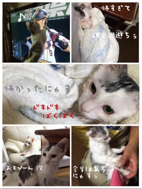 {84A97774-A15B-4116-B282-B1BC33237D43:01}