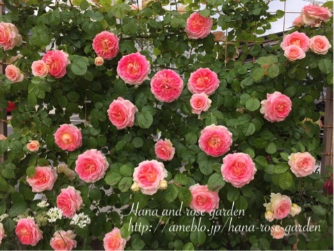 {F208A1EB-9B23-4823-B25B-DCAE40552DD6:01}