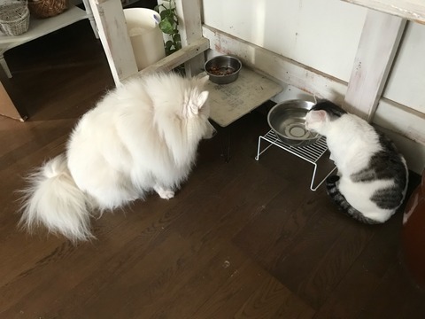 8A926CCD-74D8-4ADE-BFAE-E9CF6556F8E0