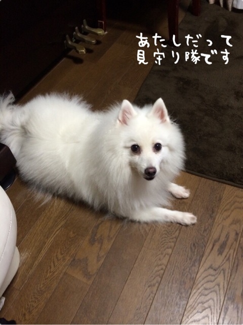 {DDDFFECD-593E-41A2-8C9C-5308FC7C6544:01}