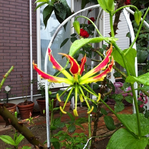 photo:02