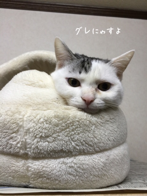 {978F8E86-043D-4C28-AFF9-240DE262AD81:01}